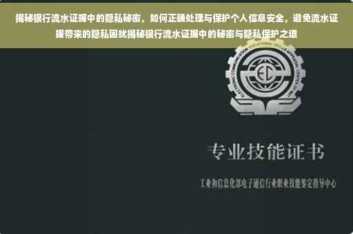 揭秘银行流水证据中的隐私秘密，如何正确处理与保护个人信息安全，避免流水证据带来的隐私困扰揭秘银行流水证据中的秘密与隐私保护之道