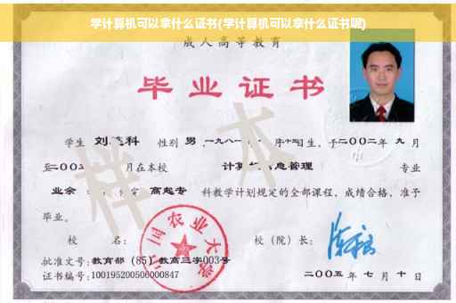 学计算机可以拿什么证书(学计算机可以拿什么证书呢)