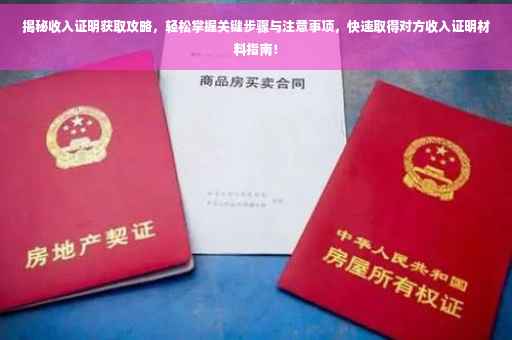 揭秘收入证明获取攻略，轻松掌握关键步骤与注意事项，快速取得对方收入证明材料指南！