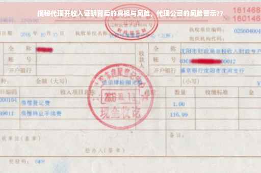 揭秘代理开收入证明背后的真相与风险，代理公司的风险警示??