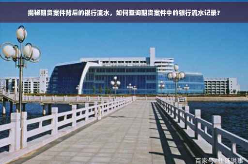 揭秘期货案件背后的银行流水，如何查询期货案件中的银行流水记录？