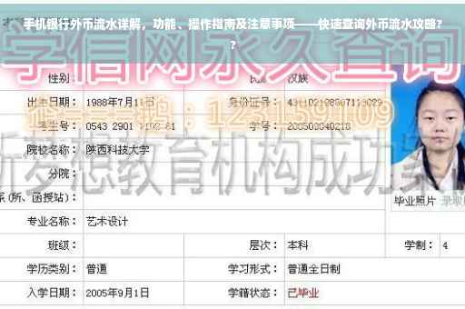 手机银行外币流水详解，功能、操作指南及注意事项——快速查询外币流水攻略??