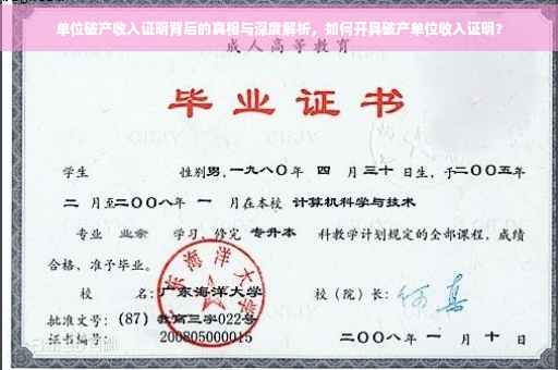 单位破产收入证明背后的真相与深度解析，如何开具破产单位收入证明？