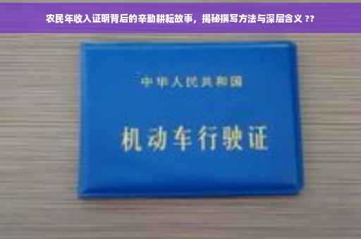 农民年收入证明背后的辛勤耕耘故事，揭秘撰写方法与深层含义 ??