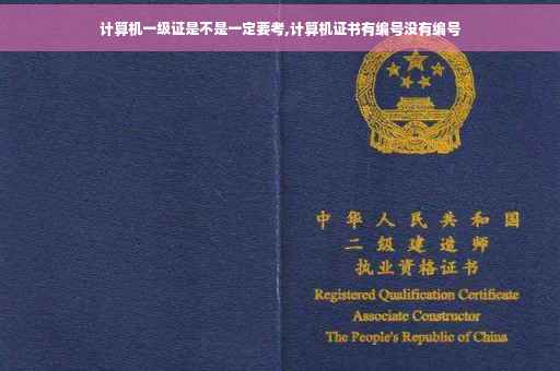 计算机一级证是不是一定要考,计算机证书有编号没有编号
