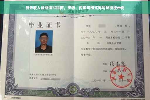 劳务收入证明撰写指南，步骤、内容与格式详解及模板示例