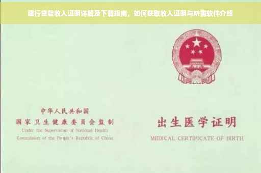 建行贷款收入证明详解及下载指南，如何获取收入证明与所需软件介绍