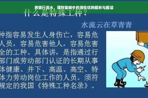 养银行流水，理财策略中的潜在优势解析与解读
