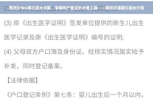 西班牙ING银行流水详解，掌握账户收支的必备工具——西班牙语银行流水介绍