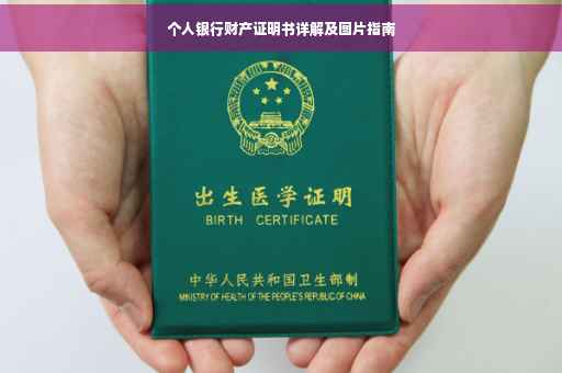 个人银行财产证明书详解及图片指南