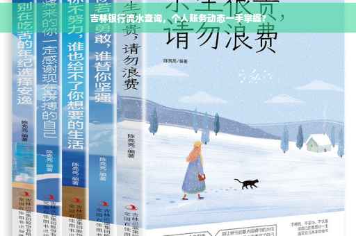 吉林银行流水查询，个人账务动态一手掌握?
