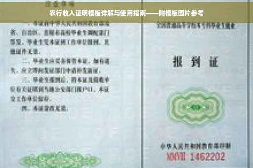 农行收入证明模板详解与使用指南——附模板图片参考