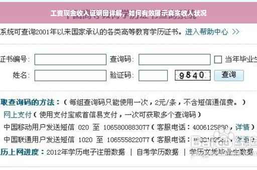 工资现金收入证明图详解，如何有效展示真实收入状况