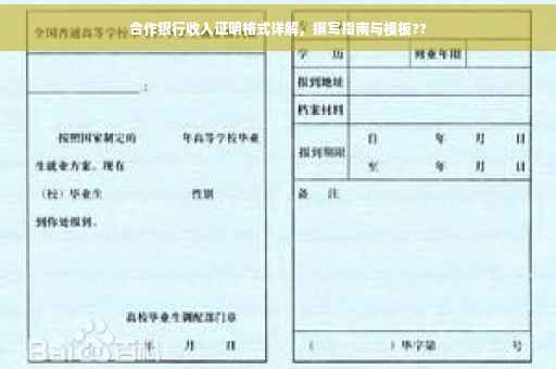 合作银行收入证明格式详解，撰写指南与模板??