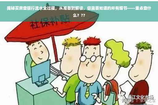 揭秘买房查银行流水全过程，从准备到解读，你需要知道的所有细节——重点查什么？??