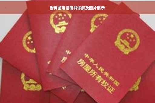 耐克鉴定证明书详解及图片展示