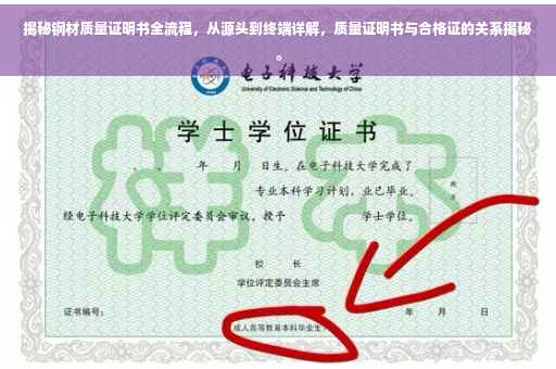 揭秘钢材质量证明书全流程，从源头到终端详解，质量证明书与合格证的关系揭秘。