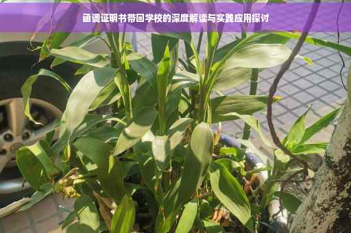 函调证明书带回学校的深度解读与实践应用探讨