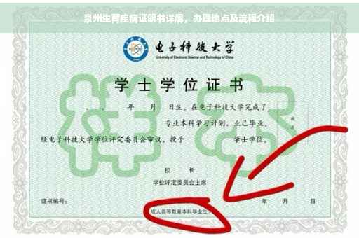 泉州生育疾病证明书详解，办理地点及流程介绍