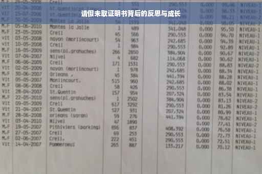 请假未取证明书背后的反思与成长