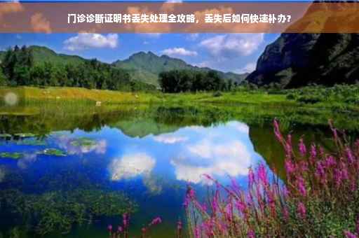 门诊诊断证明书丢失处理全攻略，丢失后如何快速补办？