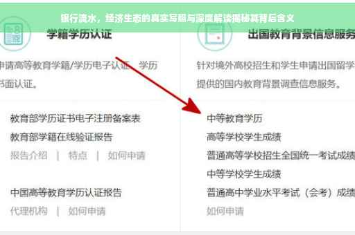 银行流水，经济生态的真实写照与深度解读揭秘其背后含义