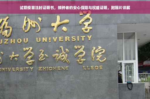 试管疫苗注射证明书，接种者的安心保障与权威证明，附图片详解