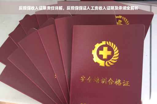 反担保收入证明责任详解，反担保保证人工资收入证明及承诺全解析
