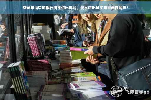 签证申请中的银行流水进出详解，流水进出含义与重要性解析?