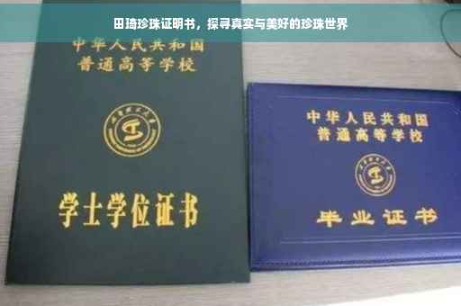 田琦珍珠证明书，探寻真实与美好的珍珠世界