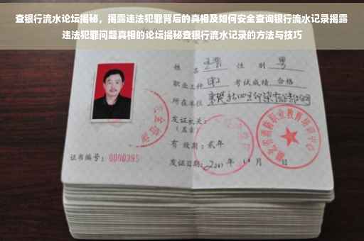 查银行流水论坛揭秘，揭露违法犯罪背后的真相及如何安全查询银行流水记录揭露违法犯罪问题真相的论坛揭秘查银行流水记录的方法与技巧