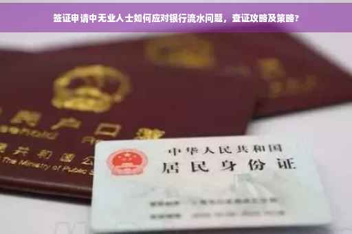 签证申请中无业人士如何应对银行流水问题，查证攻略及策略?