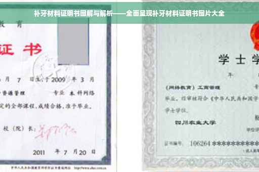 补牙材料证明书图解与解析——全面呈现补牙材料证明书图片大全