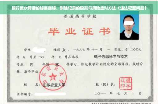 银行流水背后的秘密揭秘，删除记录的隐患与风险应对方法（违法犯罪问题）