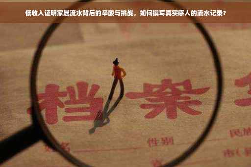 低收入证明家属流水背后的辛酸与挑战，如何撰写真实感人的流水记录？