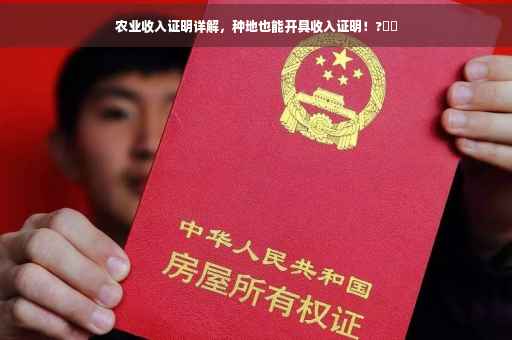 农业收入证明详解，种地也能开具收入证明！?⚡️