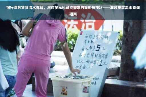 银行混合贷款流水详解，应对多元化融资需求的策略与技巧——混合贷款流水查询指南