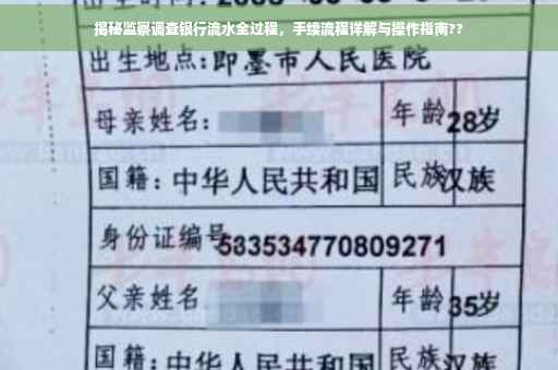 揭秘监察调查银行流水全过程，手续流程详解与操作指南??