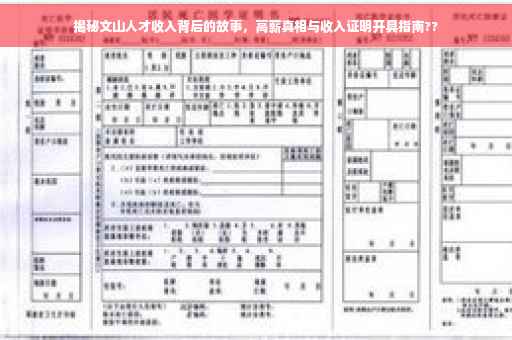 揭秘文山人才收入背后的故事，高薪真相与收入证明开具指南??