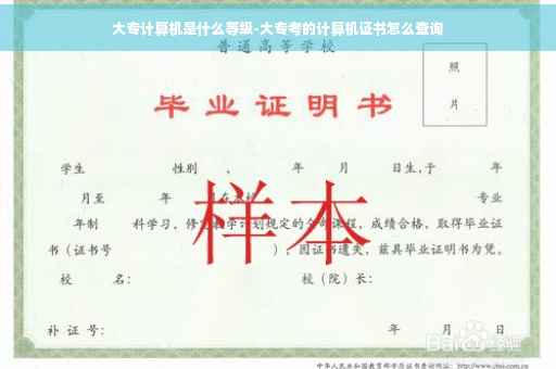 大专计算机是什么等级-大专考的计算机证书怎么查询