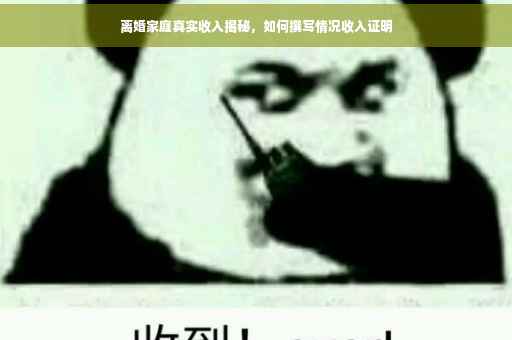 离婚家庭真实收入揭秘，如何撰写情况收入证明