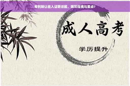 专利转让收入证明详解，撰写指南与要点?