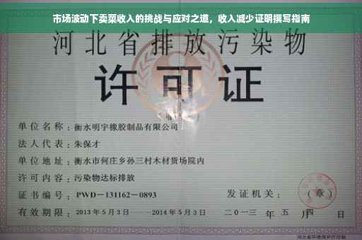 市场波动下卖菜收入的挑战与应对之道，收入减少证明撰写指南