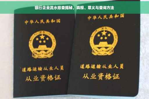银行企业流水排查揭秘，真相、意义与查询方法