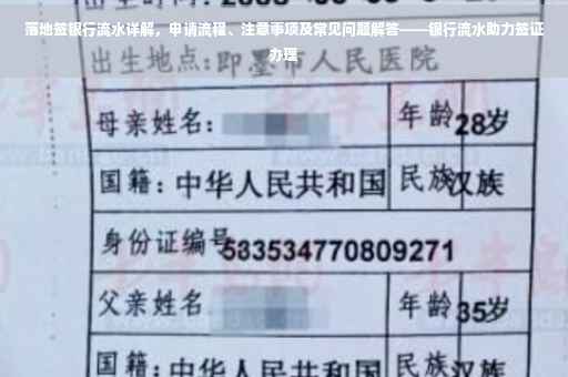 落地签银行流水详解，申请流程、注意事项及常见问题解答——银行流水助力签证办理