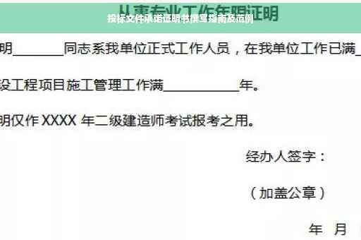 投标文件承诺证明书撰写指南及范例