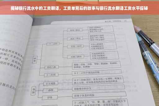 揭秘银行流水中的工资翻译，工资单背后的故事与银行流水翻译工资水平探秘