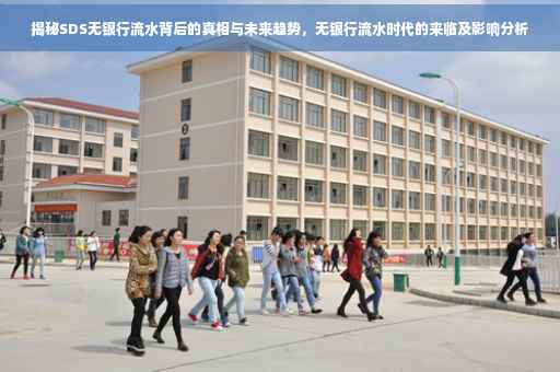 揭秘SDS无银行流水背后的真相与未来趋势，无银行流水时代的来临及影响分析