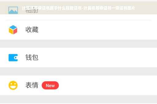 计算机等级证书属于什么技能证书-计算机等级证书一级证书图片