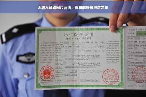 无收入证明图片高清，真相解析与应对之策